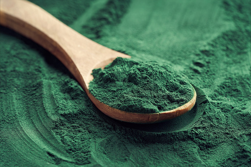 Blue-Green Algae: The Nutrient-Rich and Mineral-Packed All Star Ingredient in Every JKTY Formula